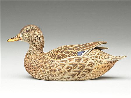 1/4 size mallard hen