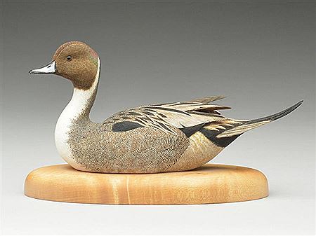1/4 size pintail drake