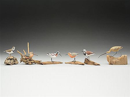 11 miniature shorebirds and a woodcock