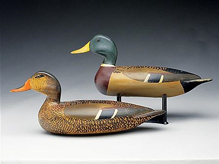Exceptional pair of mallards