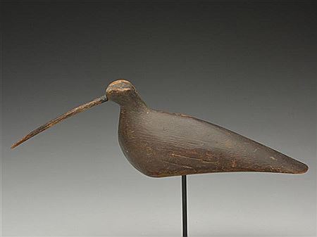 Very rare curlew
