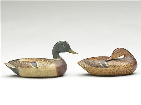 Exceptional and very early pair of miniature mallards
