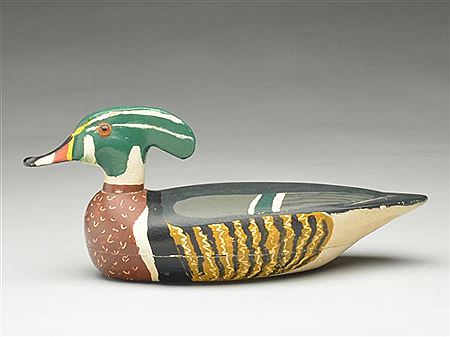 Wood duck drake