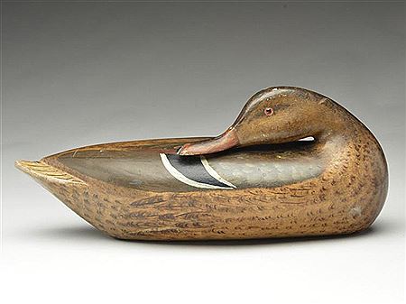 Outstanding hollow carved mallard hen in sleeping pose