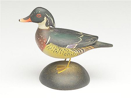 Miniature wood duck drake