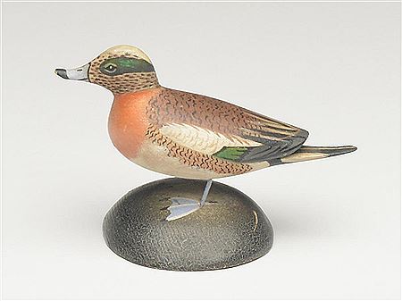Miniature widgeon drake