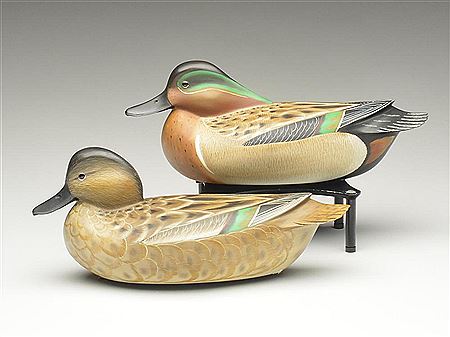 Pair of greenwing teal