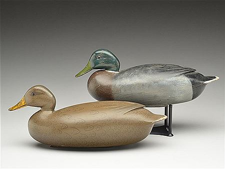 Rare pair of mallards