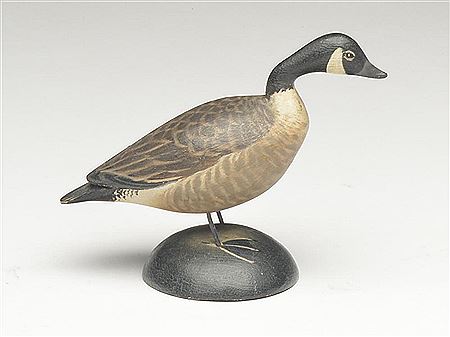 Miniature Canada goose