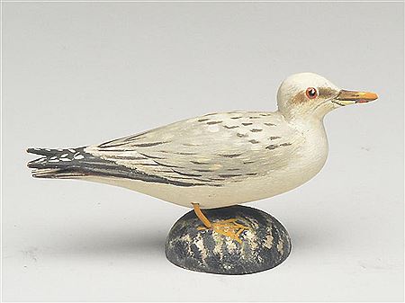 Miniature fairly large gull with extended wingtips