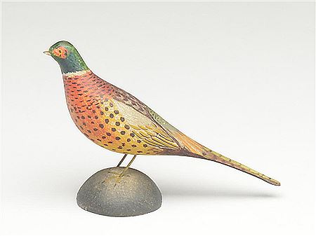 Miniature ring neck pheasant drake