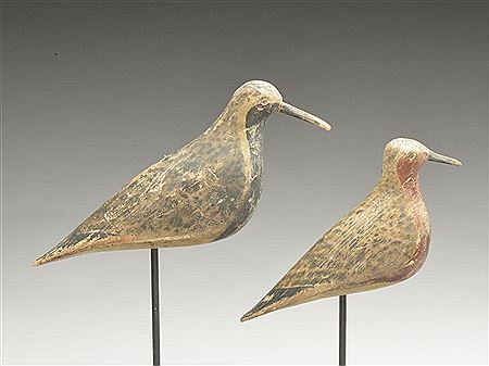 A robin snipe and a black bellied plover. (2)