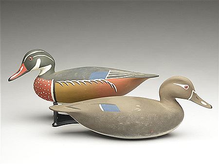 Rare pair of wood ducks