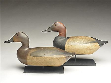 Important pair of canvasbacks