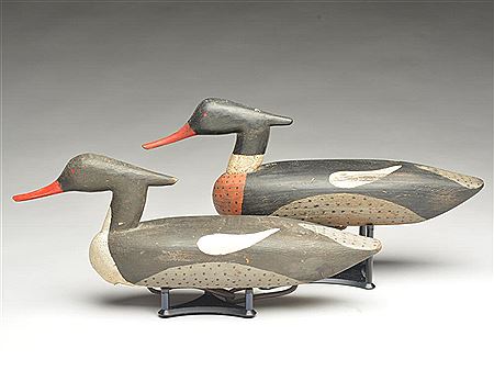 Pair of mergansers