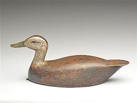 Very stylish semi high head blackduck