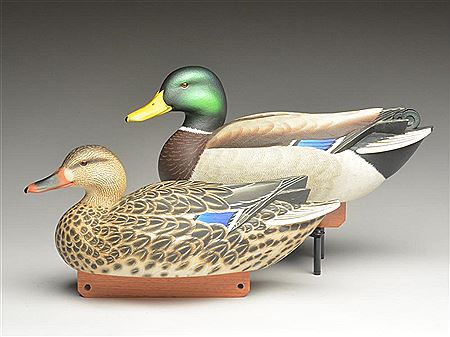 Pair of mallards
