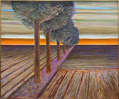 Row of Trees in Plowed Field