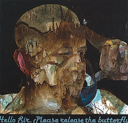 HELLO SIR, PLEASE RELEASE THE BUTTERFLY, 2013-2014