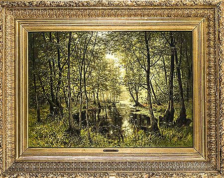 Morning in the woods