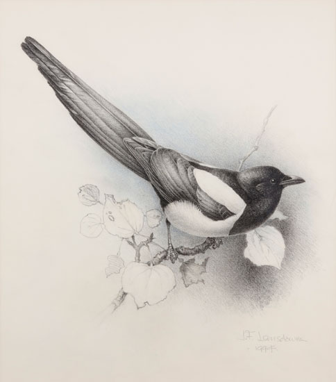 Magpie