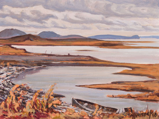 Arctic Coastline - MacKenzie Delta, Tuktoyaktuk, NWT