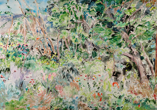 Forest and Garden