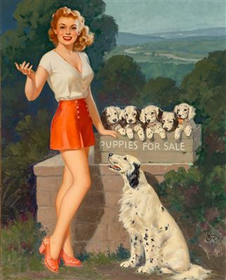 Puppies for Sale
