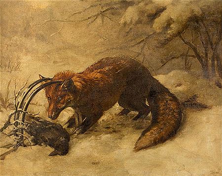 Fox in the trap