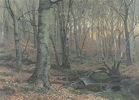 Beach wood in the autumn
