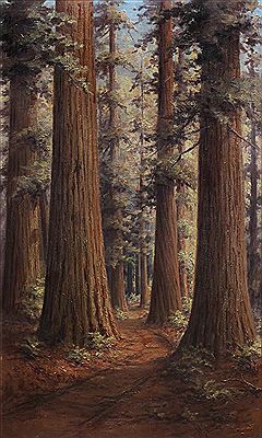 Redwoods by Martella Cone Lane - Auction record, sale price, and art valuation. Compare with similar artists and explore comparable artworks.