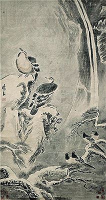 Hawks and Magpies