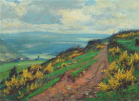 Blossoming broom in the Eifel
