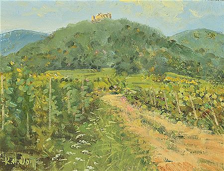 Vineyards and wild flora below the Maxburg