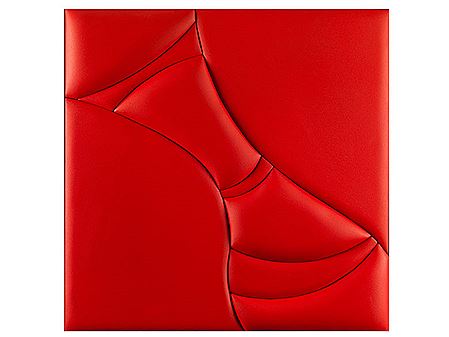 INTROIEZIONE ROSSA, 2016