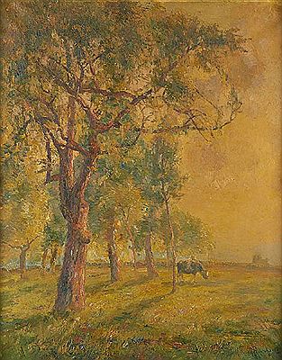 Rayons de soleil sur le verger