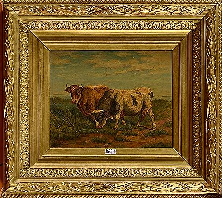 Vache et taureau au pré