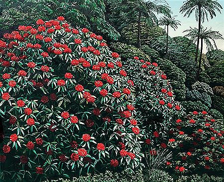 Rhododendron & Ponga by Karl Maughan - Auction record, sale price, and art valuation. Compare with similar artists and explore comparable artworks.