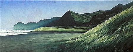 North Piha, From the Dunes