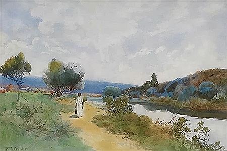 Waikato River