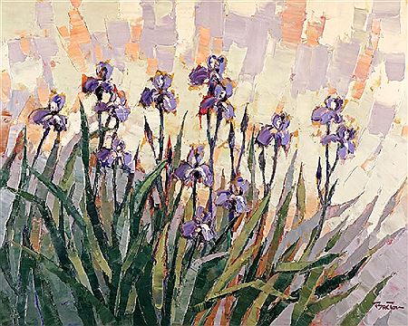"Iris aux quatres vents"