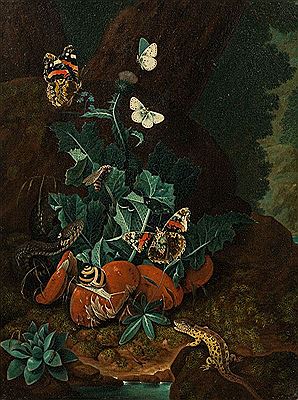 Forest ground still life by Karl Wilhelm de Hamilton - Auction record, sale price, and art valuation. Compare with similar artists and explore comparable artworks.
