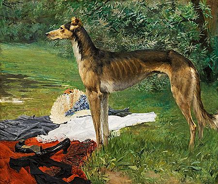 The greyhound, 1891