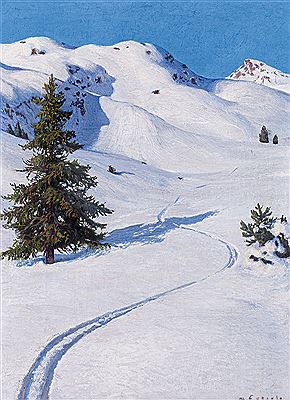 Snow landscape with ski tracks