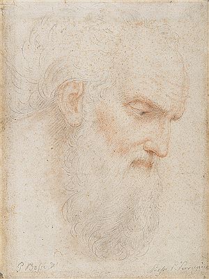 Head of an old man with beard