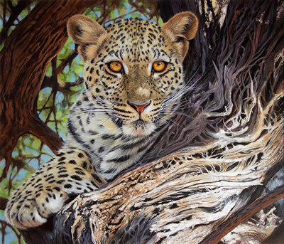 Leopard Hideout