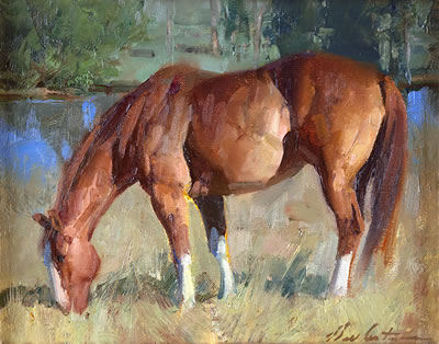 Horse Heaven