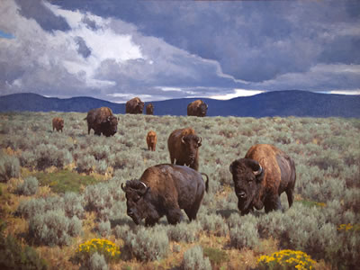 Ahead of the Storm by Tucker Smith - Auction record, sale price, and art valuation. Compare with similar artists and explore comparable artworks.