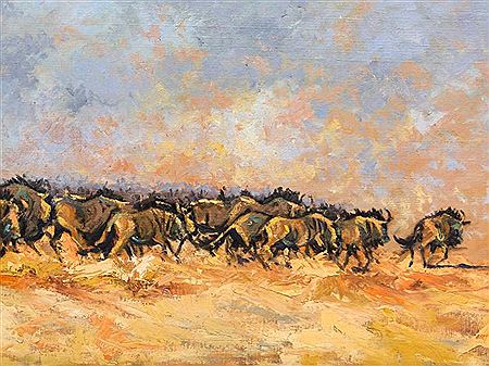Wildebeest Migration