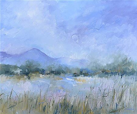 THE MOURNE MOUNTAINS FROM THE RIVER QUOILE by Sandra Maze - Auction record, sale price, and art valuation. Compare with similar artists and explore comparable artworks.